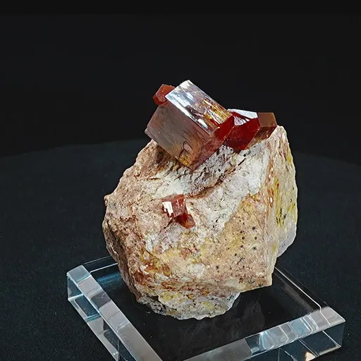 specimen video