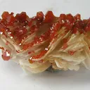 Vanadinite, Baryte - image 1