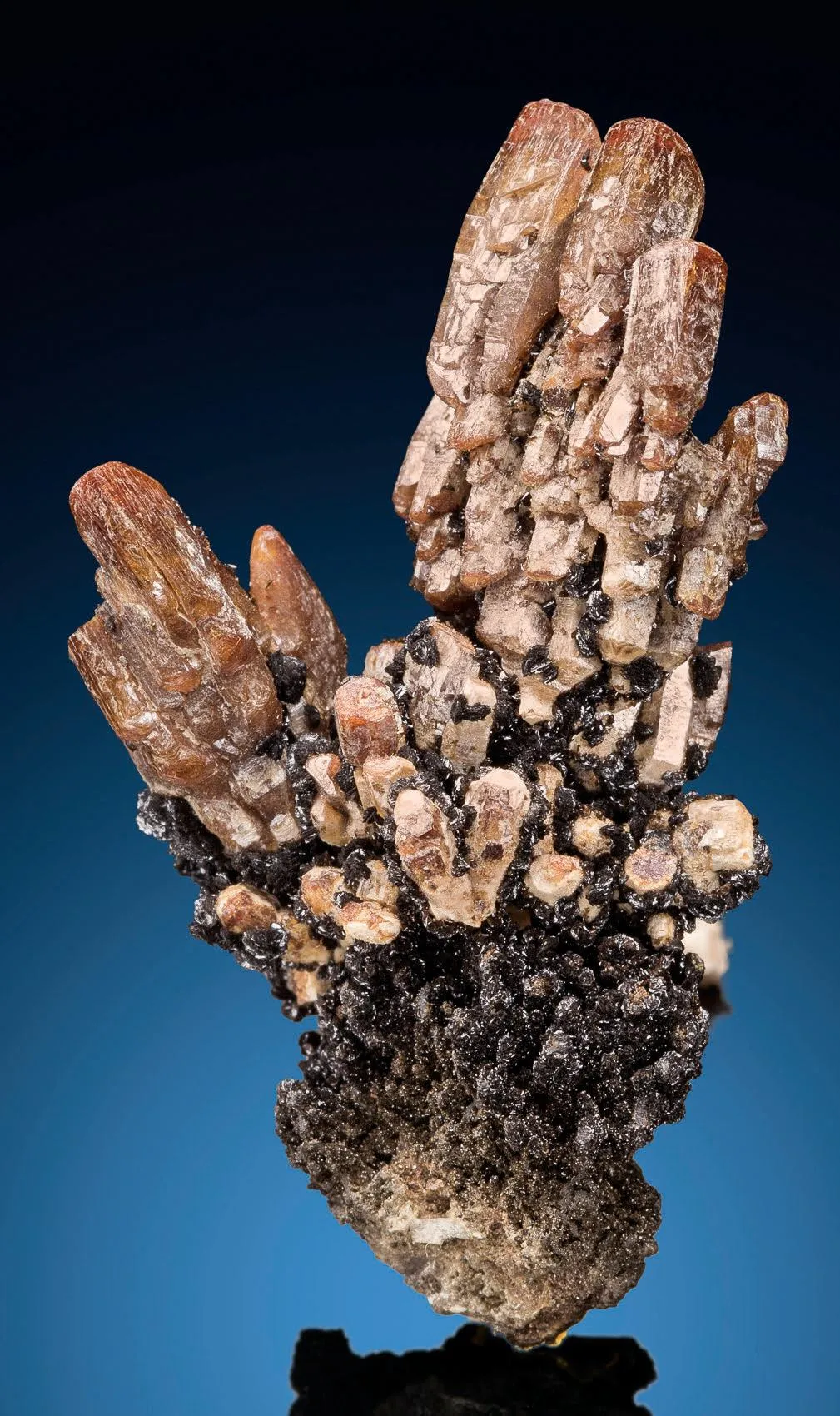 Vanadinite, Descloizite - image 1