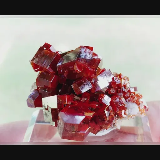 specimen video