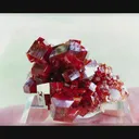 specimen video