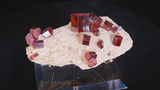 specimen video