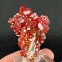 Vanadinite from Mibladen Mining District, Midelt Province, Drâa-Tafilalet Region, Morocco - image 2