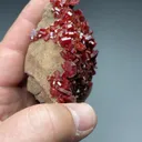 Vanadinite from Mibladen Mining District, Midelt Province, Drâa-Tafilalet Region, Morocco - image 2