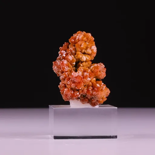 specimen video