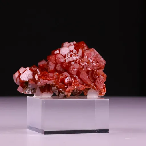 specimen video