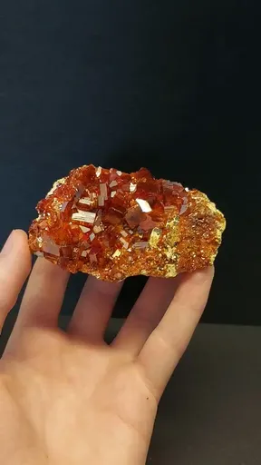 specimen video