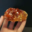 specimen video