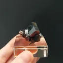 specimen video