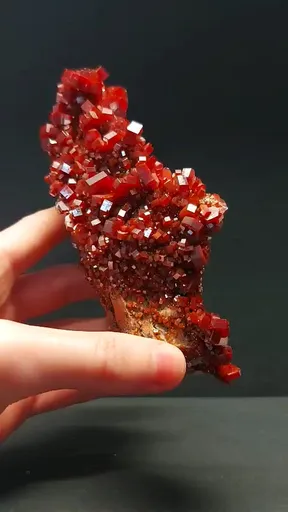 specimen video