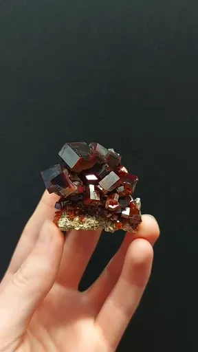 specimen video