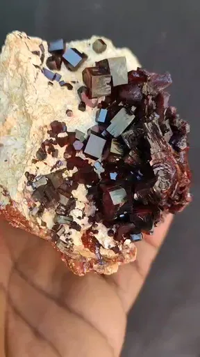 specimen video