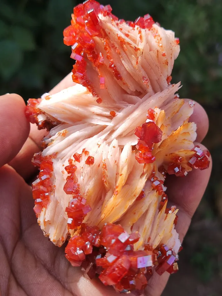Vanadinite from Morocco, Drâa-Tafilalet Region, Midelt Province, Midelt image