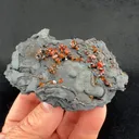 Vanadinite from Taouz Caïdat, Drâa-Tafilalet Region, Morocco - image 2