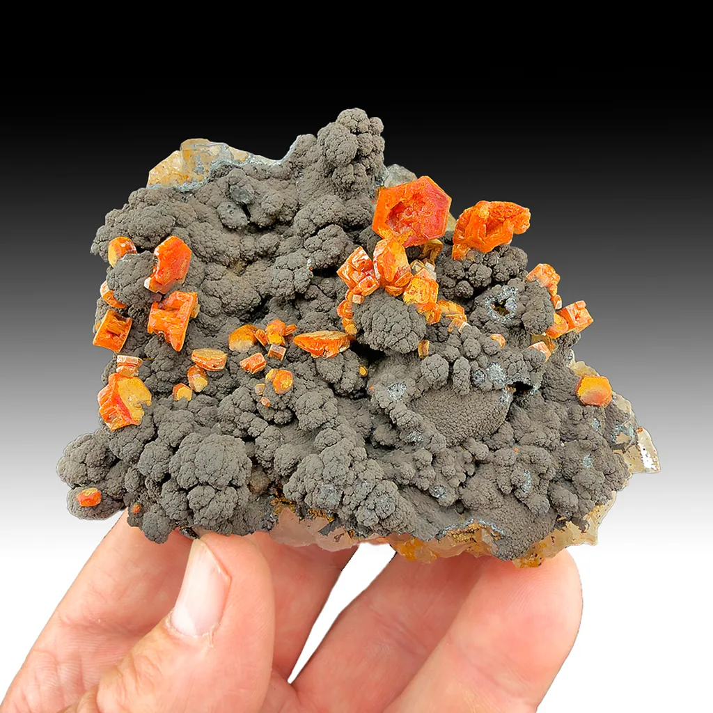 Vanadinite from Taouz Caïdat, Drâa-Tafilalet Region, Morocco image