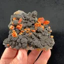 Vanadinite from Taouz Caïdat, Drâa-Tafilalet Region, Morocco - image 2