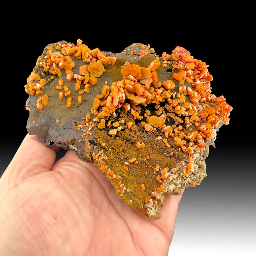 Vanadinite from Taouz Caïdat, Drâa-Tafilalet Region, Morocco image