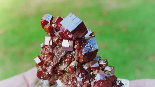 specimen video