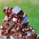 specimen video