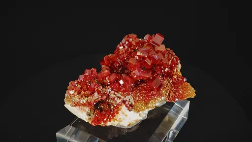 specimen video