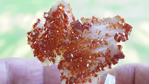 specimen video