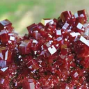 specimen video