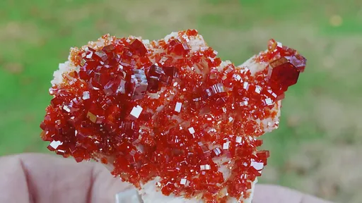 specimen video