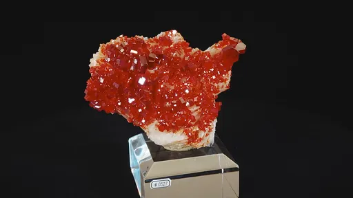 specimen video