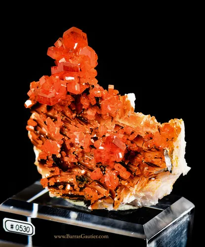 Vanadinite on Barite image
