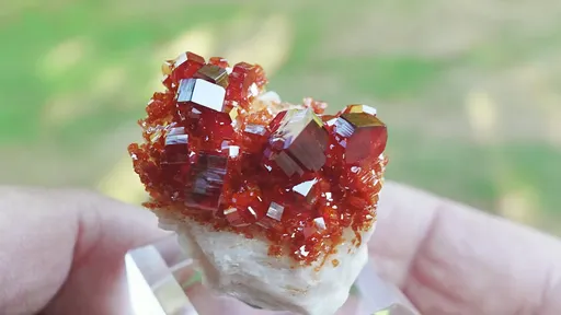 specimen video