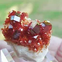 specimen video