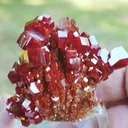 specimen video