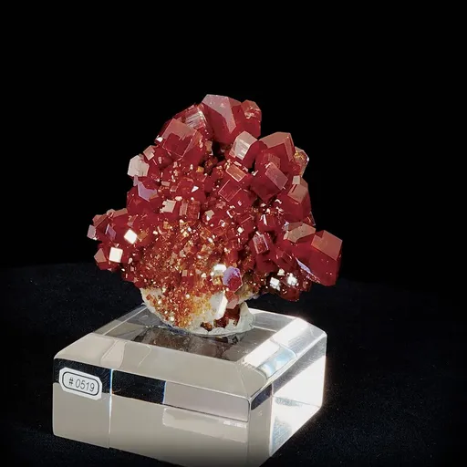 specimen video