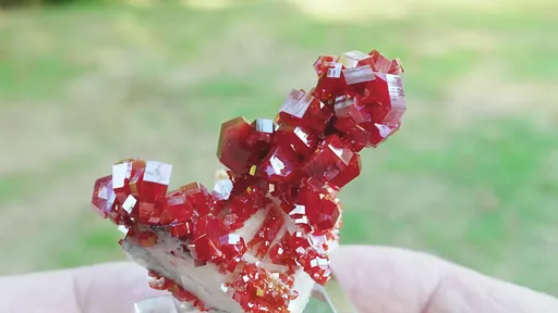 specimen video