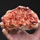 Vanadinite on Baryte - image 2