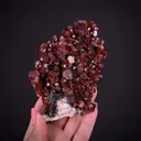 Vanadinite on Baryte - image 1