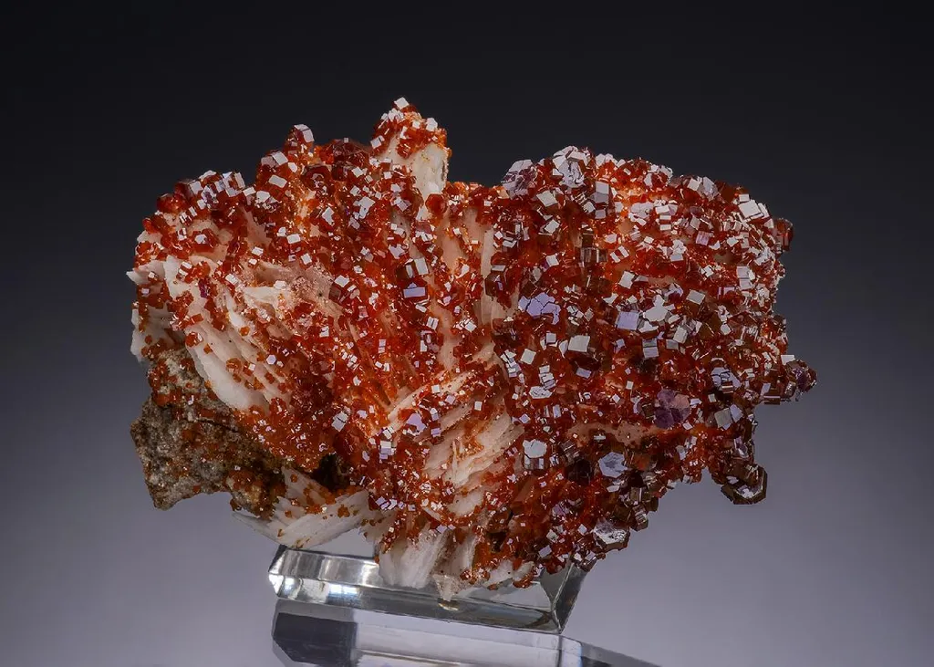 Vanadinite on Baryte image