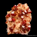 Vanadinite on Baryte - image 4
