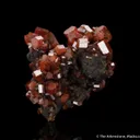 Vanadinite on Coronadite - image 5