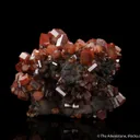 Vanadinite on Coronadite - image 4