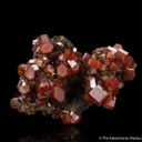 Vanadinite on Coronadite - image 6