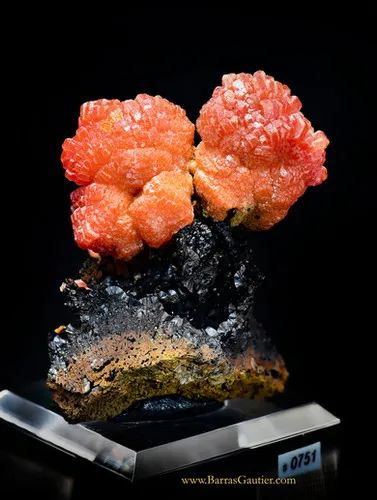 Vanadinite on Goethite image