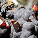 Vanadinite on Goethite from Taouz, Morocco - image 5
