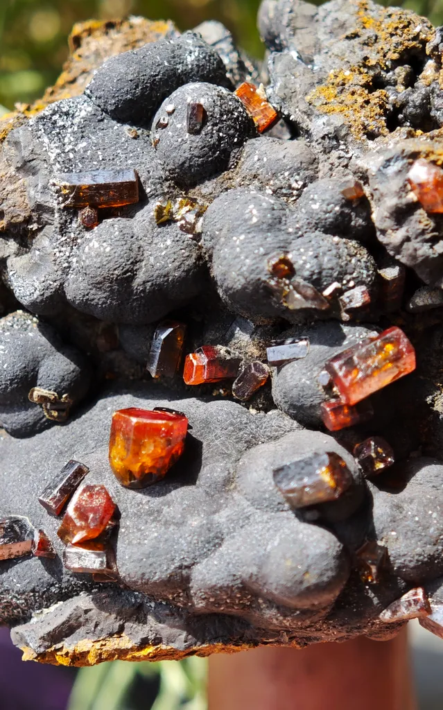 Vanadinite on Goethite from Taouz, Morocco - image 4