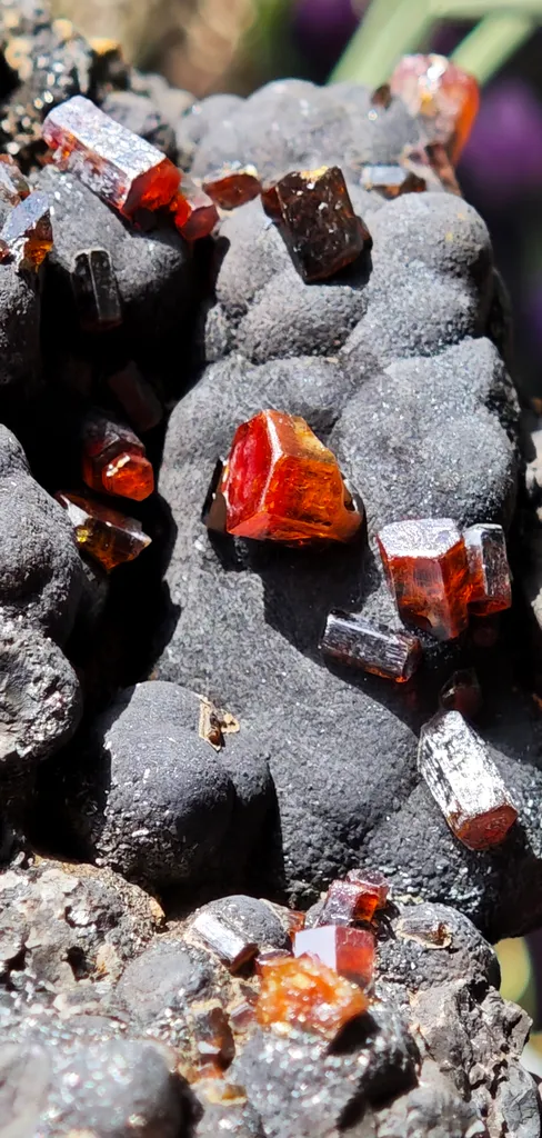 Vanadinite on Goethite from Taouz, Morocco - image 9