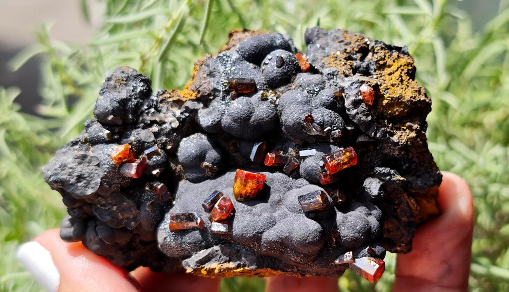 Vanadinite on Goethite from Taouz, Morocco - image 2