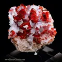 Vanadinite on Gypsum - image 2