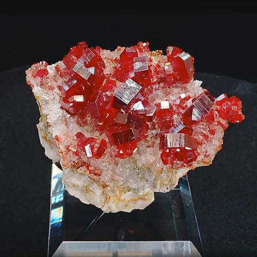 specimen video