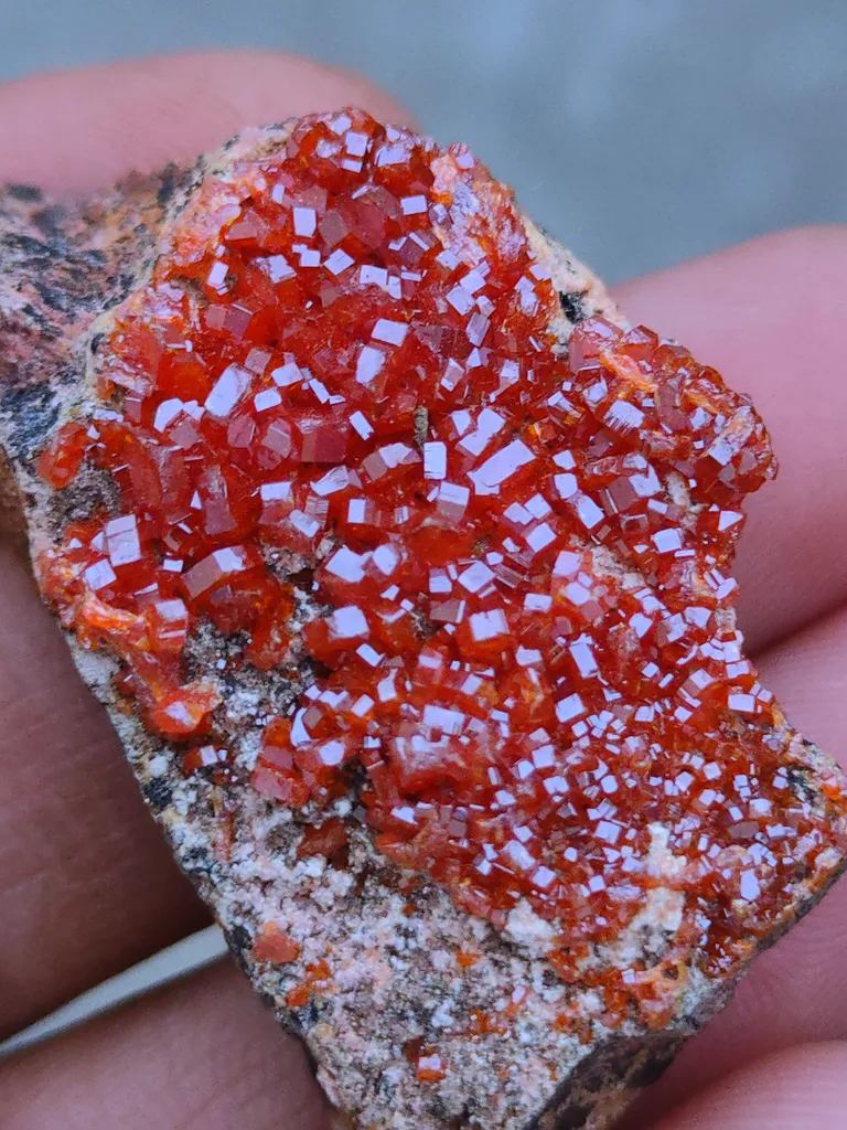 Vanadinite  on Matrix Specimen. - image 5