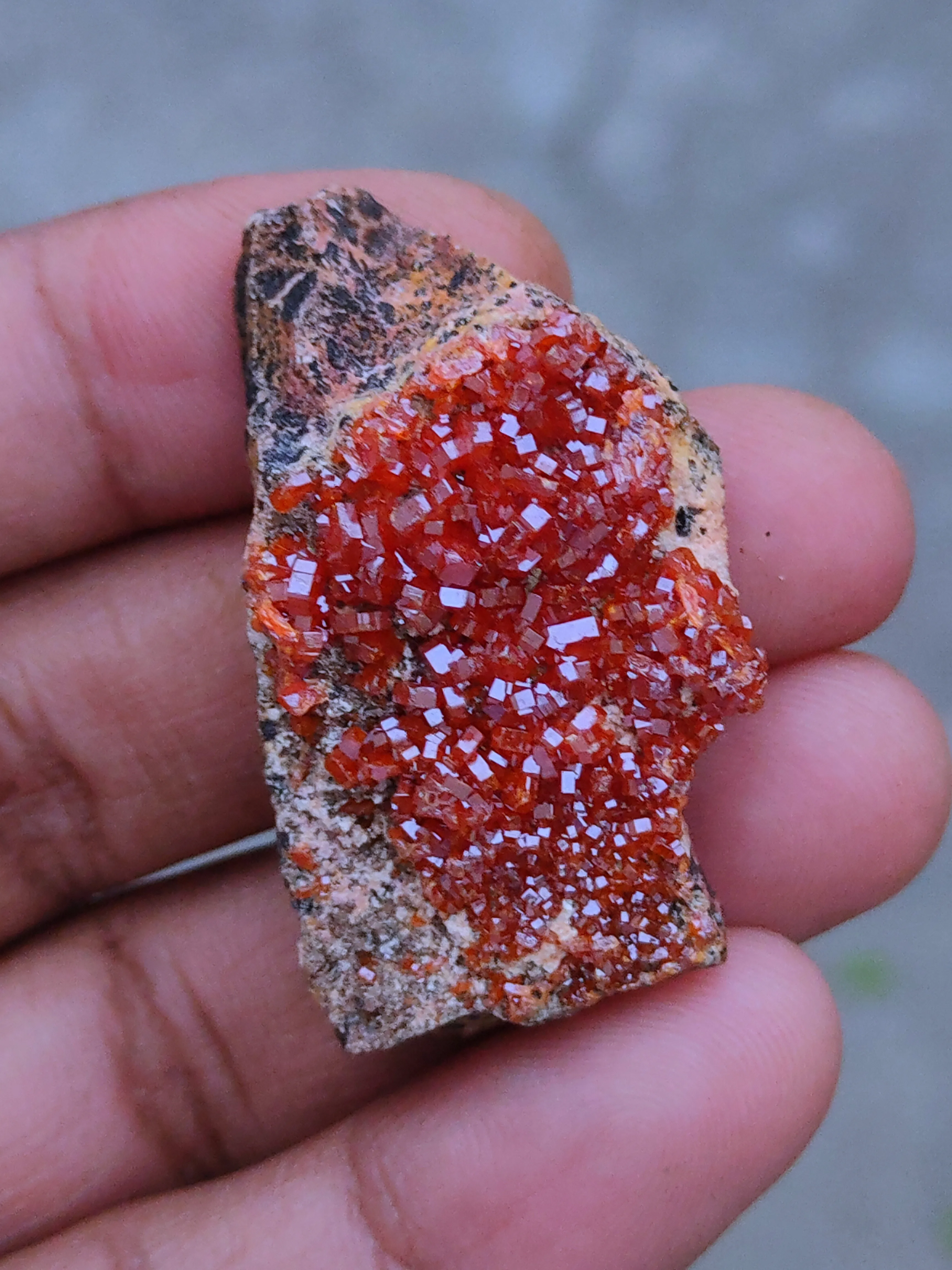 Vanadinite  on Matrix Specimen. - image 4